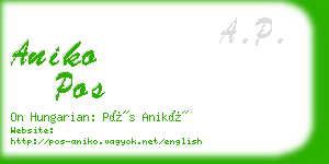 aniko pos business card